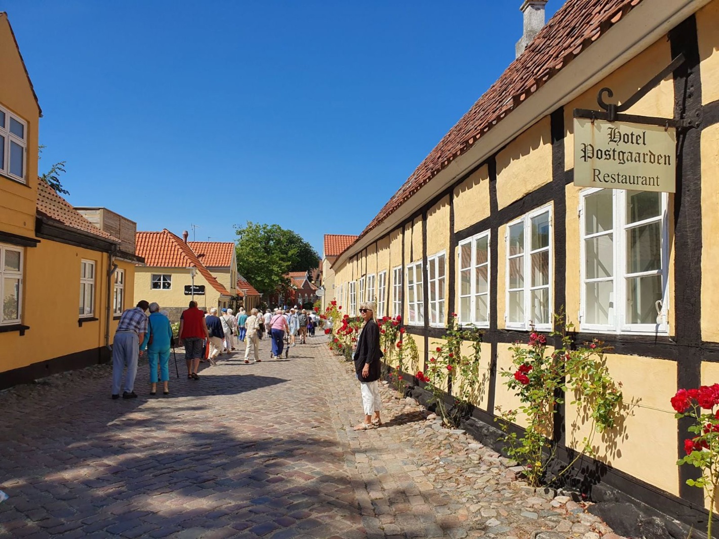Mariager Ruten